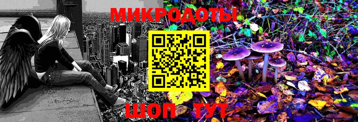 Псилоцибиновые грибы Psilocybe  Псилоцибиновые грибы прущие грибы  Вход с VPN  Бердск 